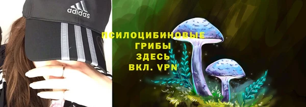 молекула духа Алзамай