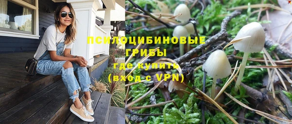каннабис Алексеевка