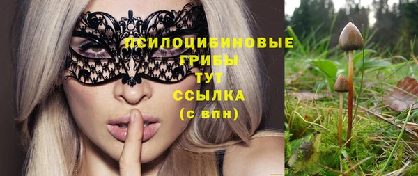 каннабис Алексеевка