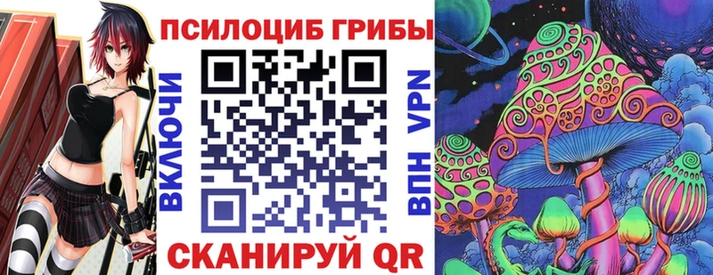 ссылка на мегу как зайти  Выкса  Галлюциногенные грибы мицелий 